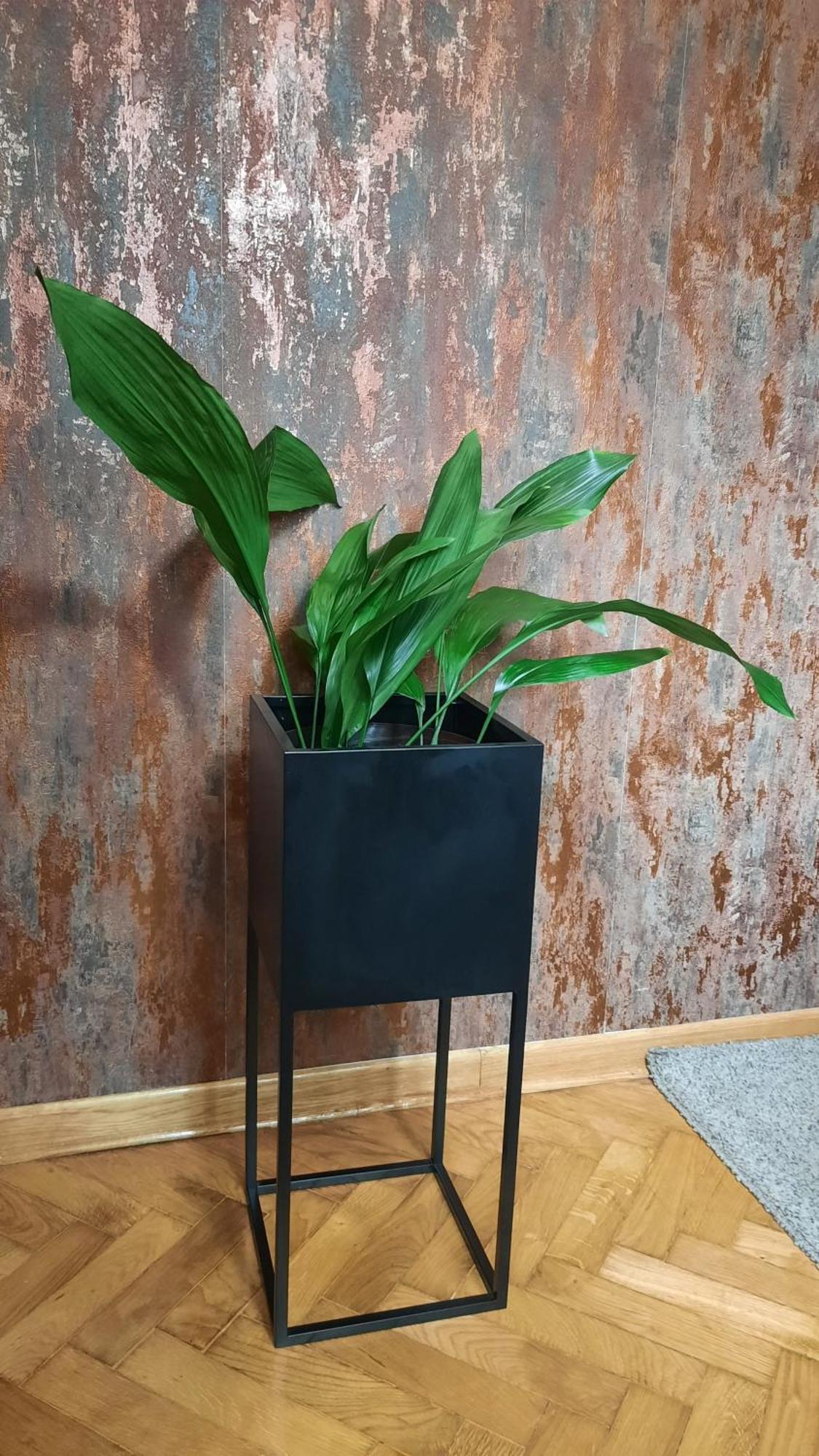 Stan Na Dan Apartman D Lux Jacuzzi Kragujevac Esterno foto
